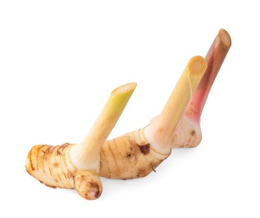 Taze dilimler galangal rizomlar beyaz arka planda izole edilmiş