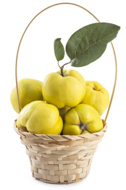 Beyaz arka planda izole ahşap sepet yaprakları ile taze olgun sarı ayva