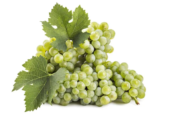 Aglomerado Uvas Brancas Maduras Frescas Com Folhas Isoladas Num Branco — Fotografia de Stock