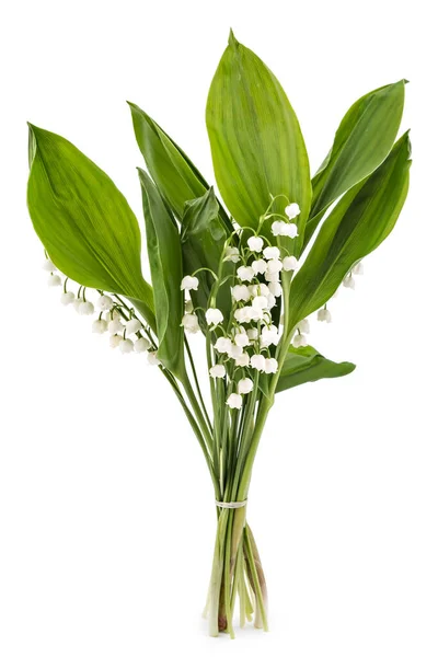 Belo Buquê Lírios Das Flores Vale Convallaria Majalis Com Folhas — Fotografia de Stock