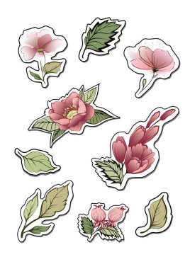 Çiçek çıkartmaları. Tasarım öğeleri için notlar. Çiçekli, yaprakları dekoratif vektör simgeler. Scrapbooking için resimler