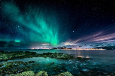 Tromso city - Kuzey Norveç yakınındaki içinde Oldervik, kıyıdan şaşırtıcı aurora borealis - Kuzey ışıkları - görünüm