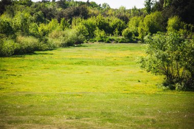 Parlak açık güneşli güzel sahne