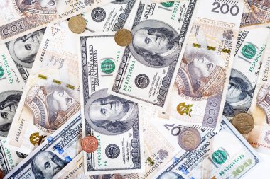 Banknot, bize dolar ve Polonya Zlotisi, para