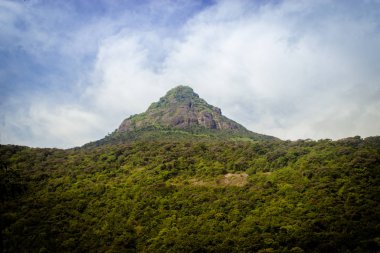 Adams zirve dağ - Doğa