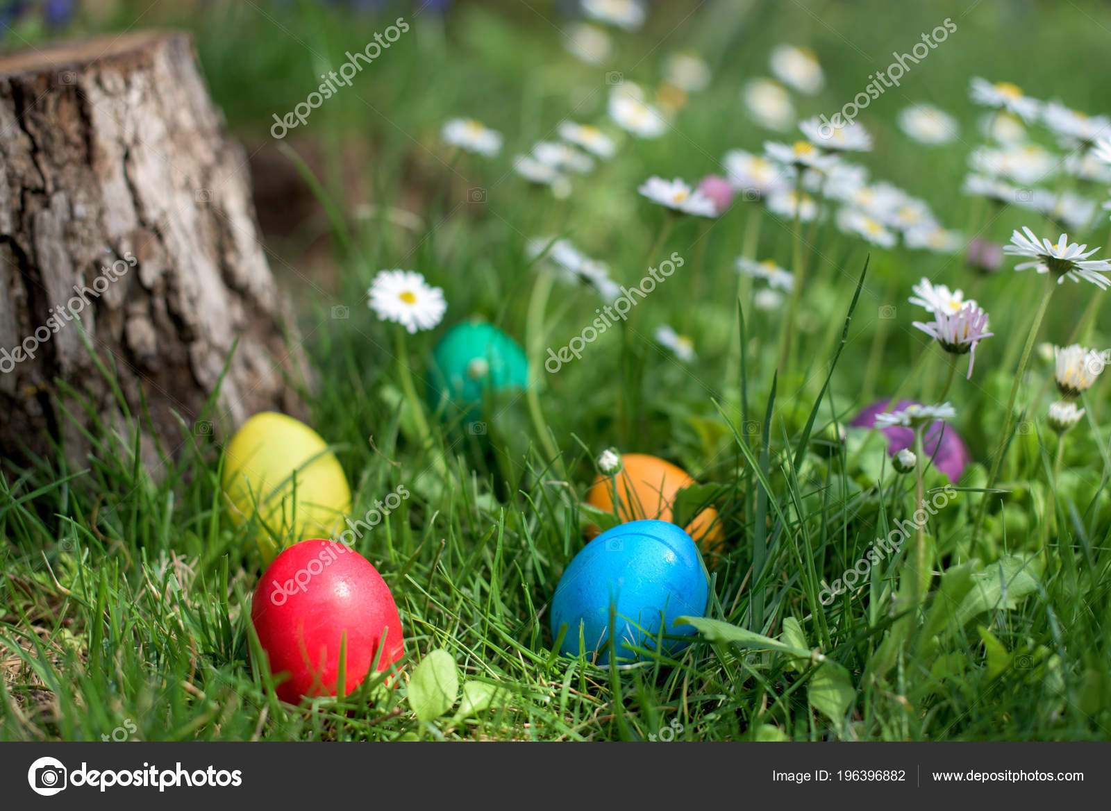 Six colorful Easter eggs hidden in a grass and flowers 10 Six colorful Easter eggs hidden in a grass and flowers 10