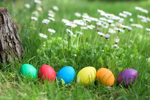 Seis Coloridos Ovos Galinha Páscoa Uma Fileira — Fotografia de Stock