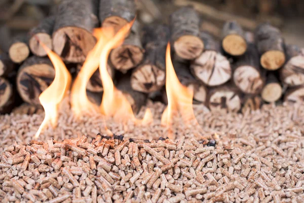 Pile Oak Wooden Pellets Flames — Stock Photo, Image