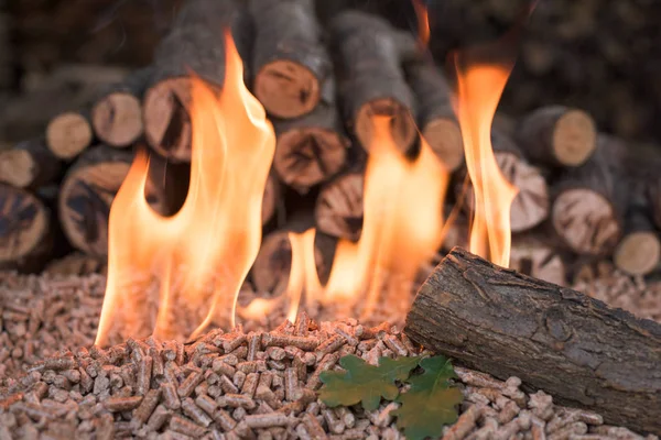 Pile Granulés Chêne Bois Flammes — Photo