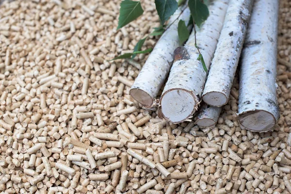 Berk Biomassa Pellets Hout Verlaat — Stockfoto