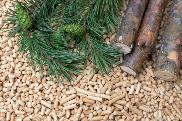 Biomassa Conifere Conchiglia Abete Pino Legno Biomassa Energie Rinnovabili — Foto Stock