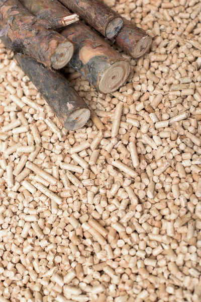 Jehličnaté Biomasu Pelety Dřevo Obnovitelné Zdroje Energie — Stock fotografie