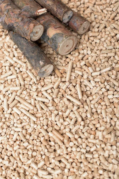 Tűlevelű Biomassza Pellet Megújuló Energia — Stock Fotó