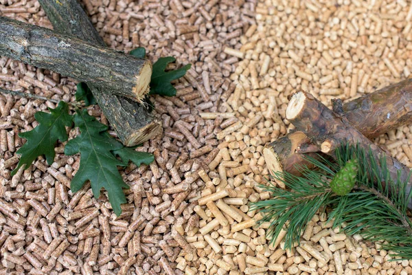 針葉樹と広葉樹のバイオマス パイン オーク材 コーン ペレット — ストック写真