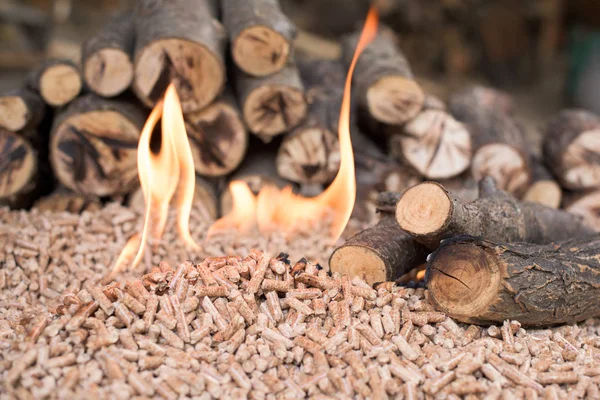 Pile Oak Pellets Wood Fire — Stock Photo, Image