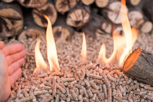 Human Hand Wooden Pellets Flame — Stock Photo, Image
