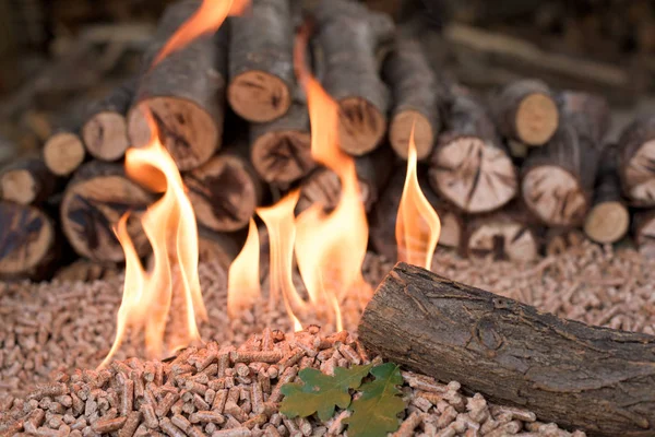 Hromadu Dubových Dřevěných Biomasa Dřevo Pelety List — Stock fotografie