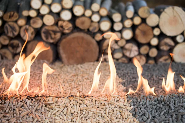 Oak Pine Sunflower Pellets Fire Infront Pile Wood — Stock Photo, Image