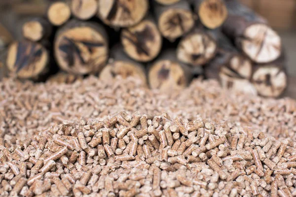木質バイオマスの再生可能な材料の山 — ストック写真