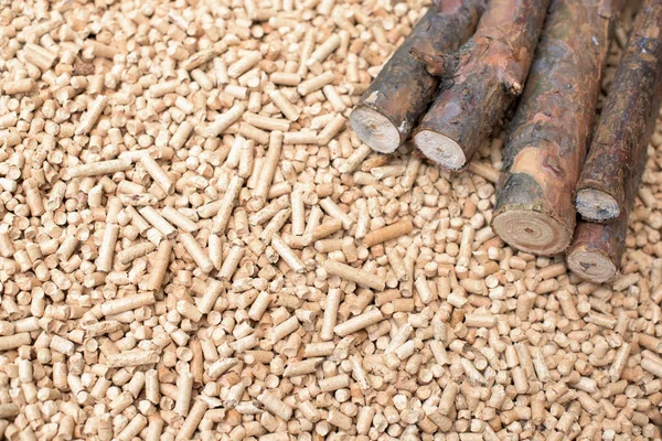 Biomassa Coníferas Madeira Pellets Energias Renováveis — Fotografia de Stock