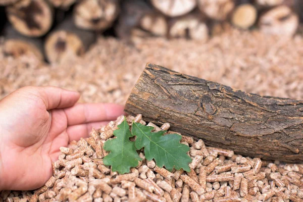 Alternative Energy Renewable Materials Oak Biomass — Stock Photo, Image