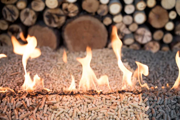 Tree Kind Pellets Fire Infront Pile Wood — Stock Photo, Image