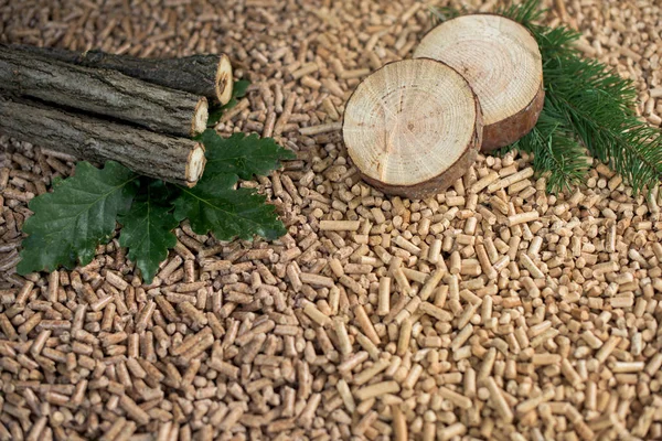Two Different Kind Wooden Pellets Made Renewable Materials Oak Pine — Stock Photo, Image