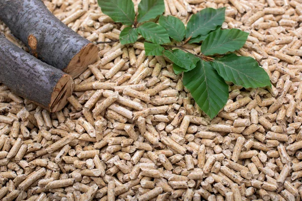 Großer Haufen Eichenbiomasse Mit Pellets Holz Und Blättern — Stockfoto