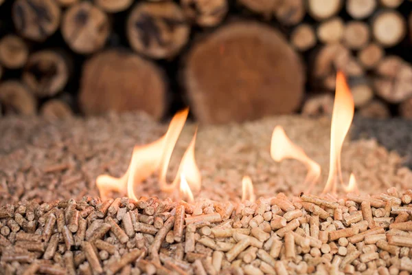 Zwei Sorten Pellets Vor Holzstapel Flammen — Stockfoto