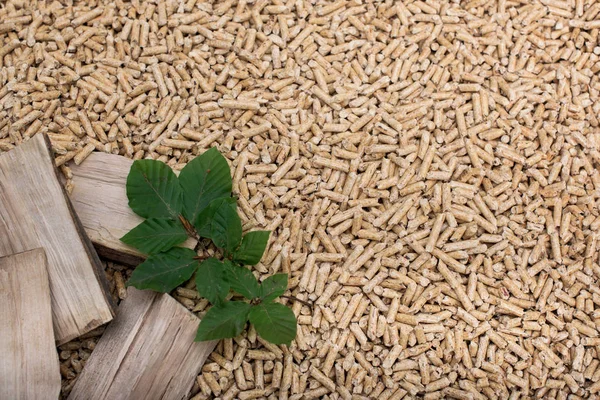 Wooden Mass Oak Pile Pellets Wood Leaves — Stock Photo, Image