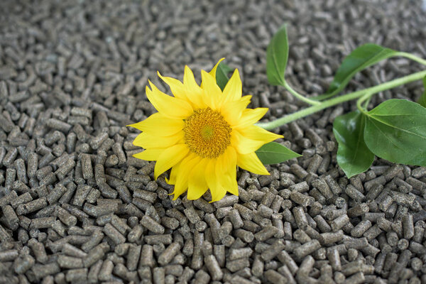 Alternative energy - renewable materials and sunflower pellets