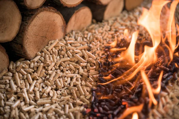 Burning beech pellets and wood — Stock Photo, Image