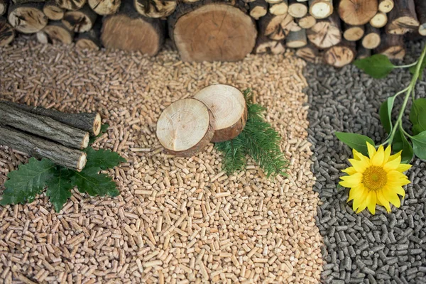 Drei Arten Von Pellets Und Materialien Aus Eiche Sonnenblume Kiefer — Stockfoto