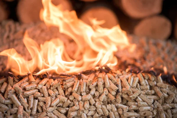 炎の中で木製オーク材ペレット — ストック写真