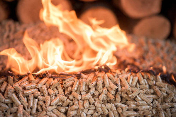 Wooden oak pellets in flames
