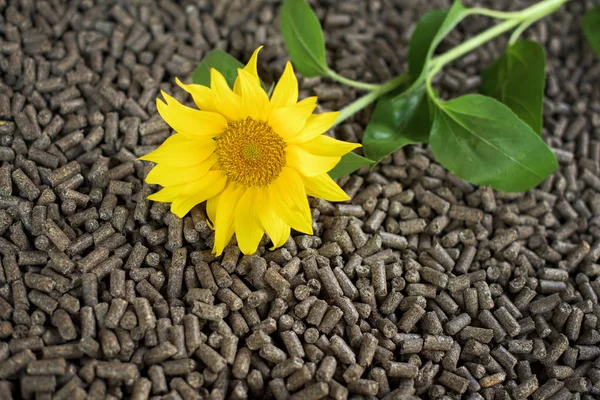 Black Pellets Pellets Made Sunflower Plants — Stock Photo, Image