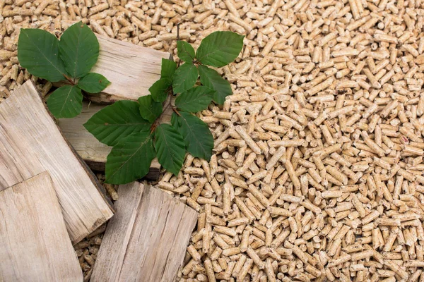 Oak Biomass Pile Wood Leaves Pellets — Stock Photo, Image