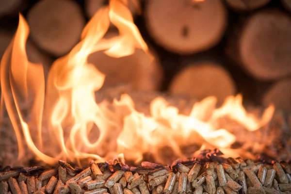 Pellet Biomass Flames — Stock Photo, Image