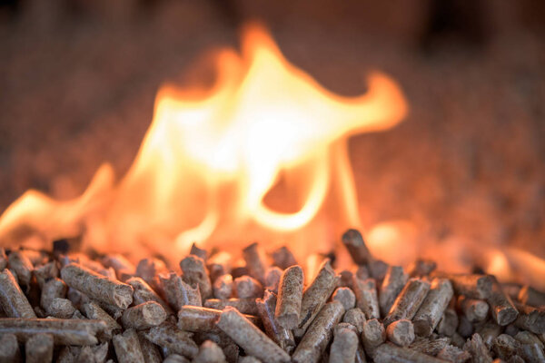 Pine pelets in fire - home heathing