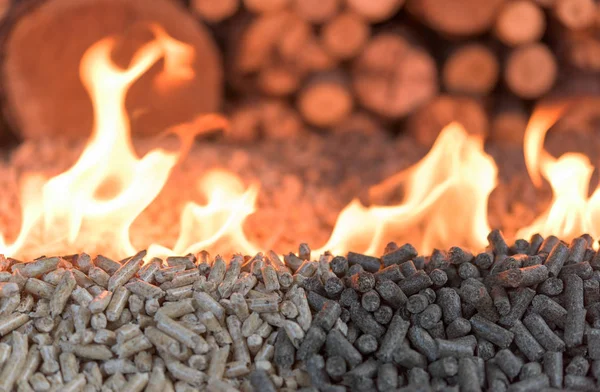 Two Kind Wooden Pellets Fire Heating — Stock Photo, Image