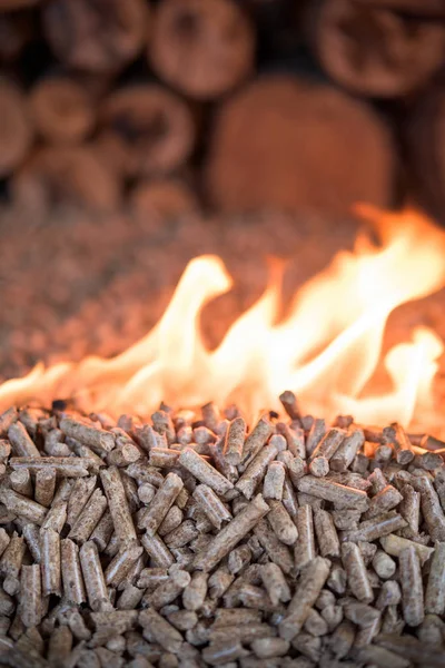 Haufen Eichenholzpellets Flammen Heide — Stockfoto