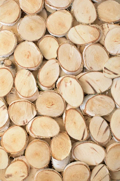 Lot White Birch Slices Decorated Wall — Stock Photo, Image