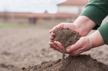 Yaşlı kadının tam verimli topraklar ile eller