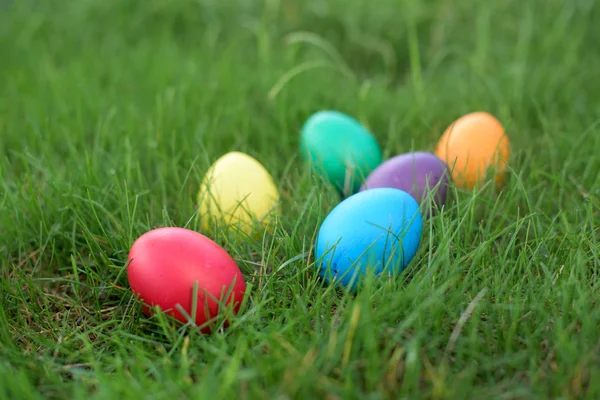 Έξι Κότα Χρωματιστά Αυγά Ένα Χόρτο Πασχαλινό Κυνήγι — Φωτογραφία Αρχείου
