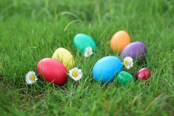 Eight hen colored eggs and two quail colored eggs in a grass - Easter hunt