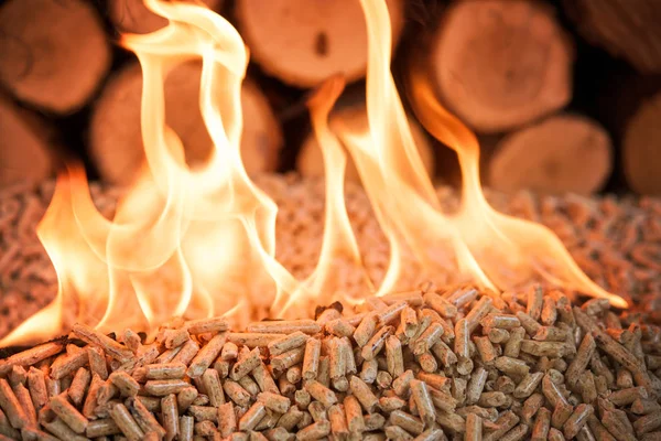 Pellets Roble Llamas Fuego Montón Madera — Foto de Stock