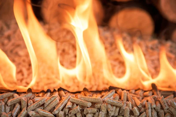 Spalování Pelet Dubové Dřevěné Biomasy Plameni — Stock fotografie