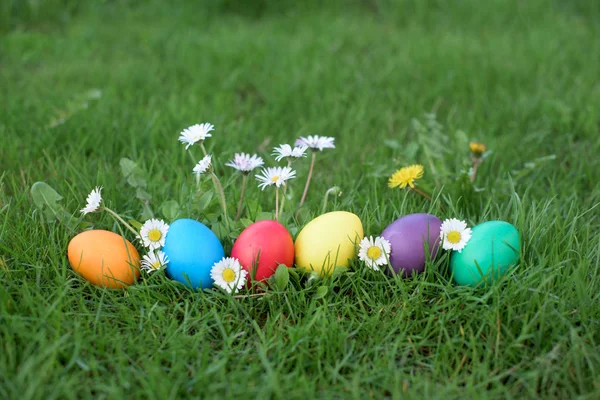 Zes Duivin Gekleurde Eieren Een Gras Pasen Jacht Een Tuin — Stockfoto