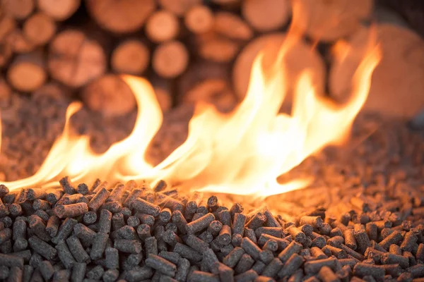 炎の中で木材や木質バイオマスの山 — ストック写真