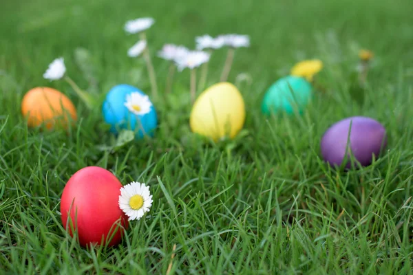 Caza de Pascua - huevos de gallina de color en la hierba —  Fotos de Stock